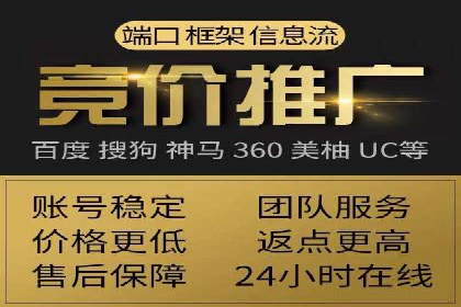 低成本高回报：百度竞价代理成功案例分析